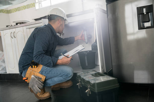 Best Local Plumber Services  in Rochester, IL